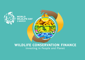 wwd2025_poster_large