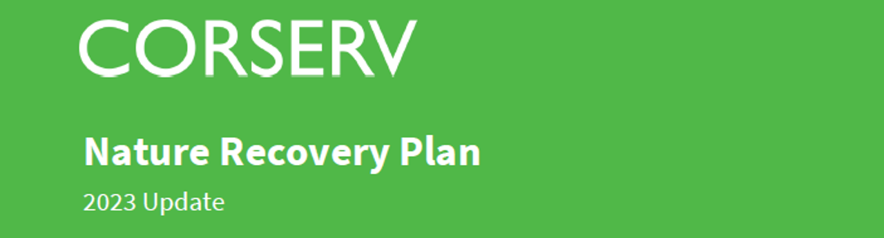 nature-recovery-plan-cover