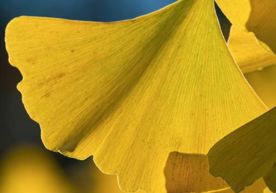 website-banner-template-umbraco-17