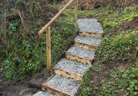 screenshot-2026-02-20-133542