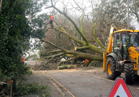 pendarves-road-camborne