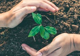 website-banner-template-umbraco-15