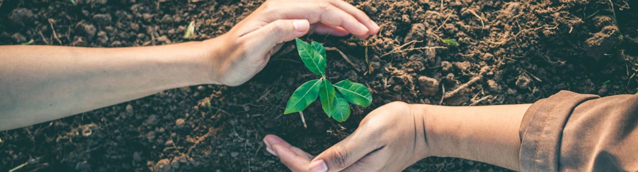 website-banner-template-umbraco-15