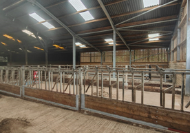 500-x-500-umbraco-liskeard-farm